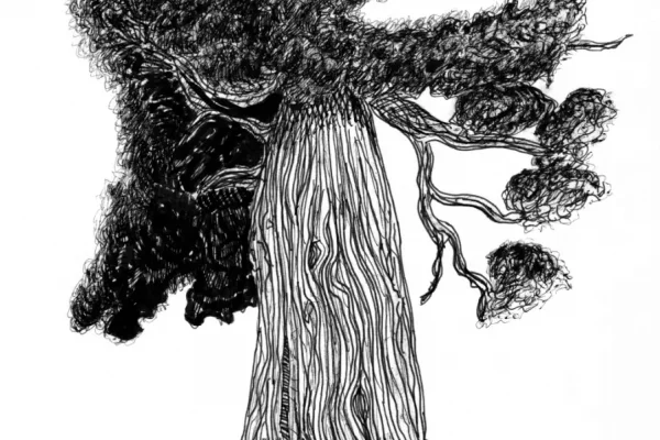 Libre arbre qui marche