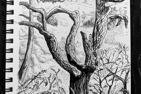 Libre paysage 02 07 25