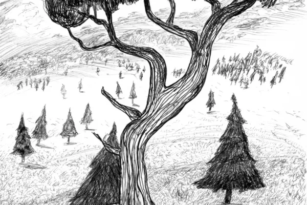 Libre paysage 15 08 25